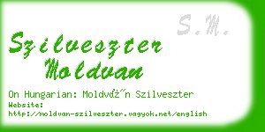 szilveszter moldvan business card